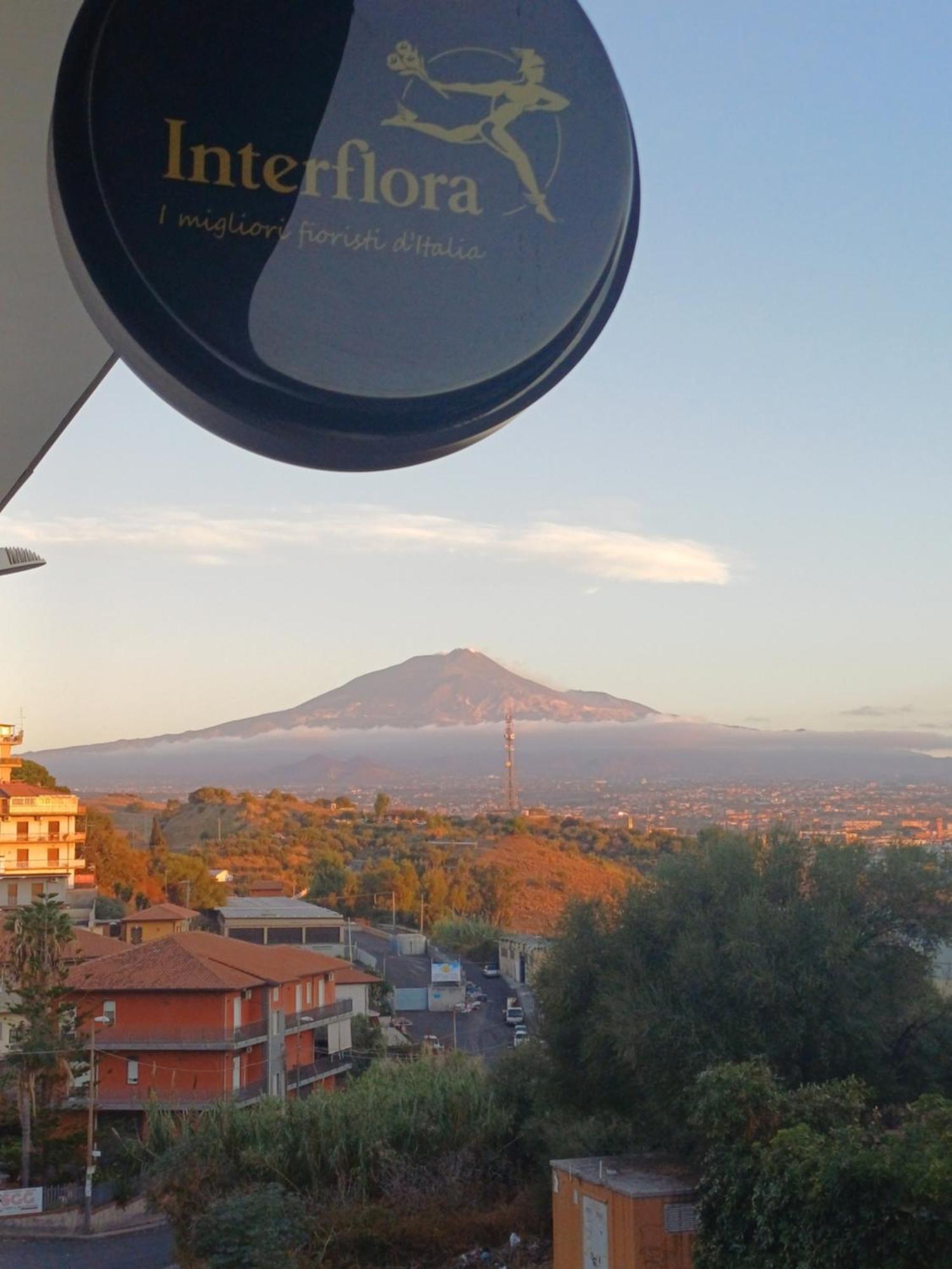 Dimora San Giorgio Apartment Catania